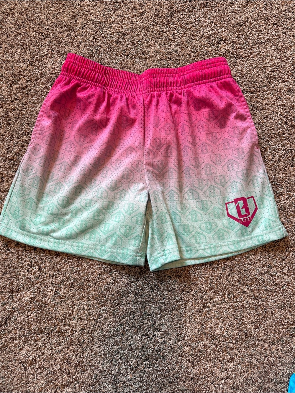 Baseball lifestyle 101 boys shorts